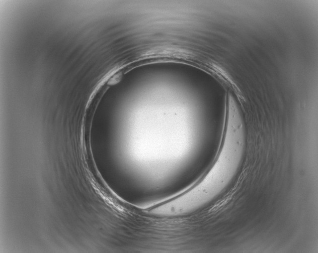 X0000060580788200511171656