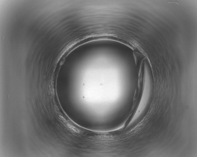 X0000060580789200511171656