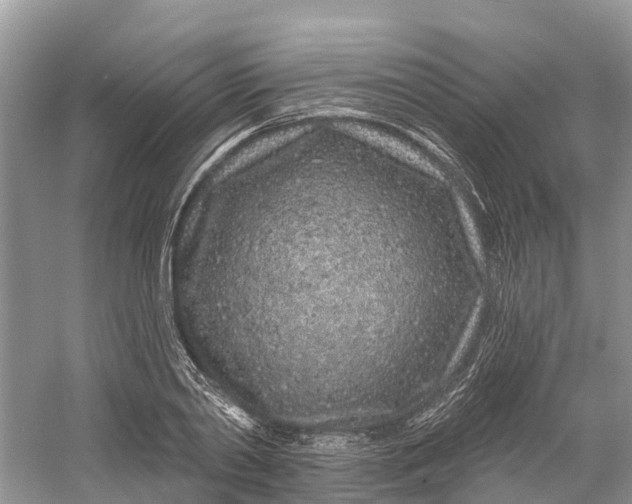 X0000060580790200511171656