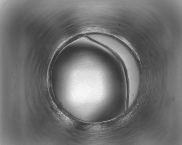 X0000060580791200511171656