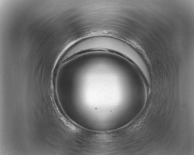 X0000060580792200511171656