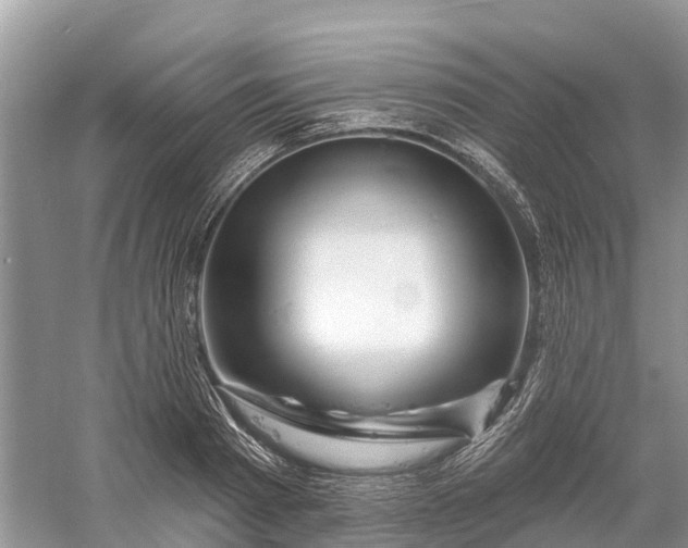 X0000060580793200511171656