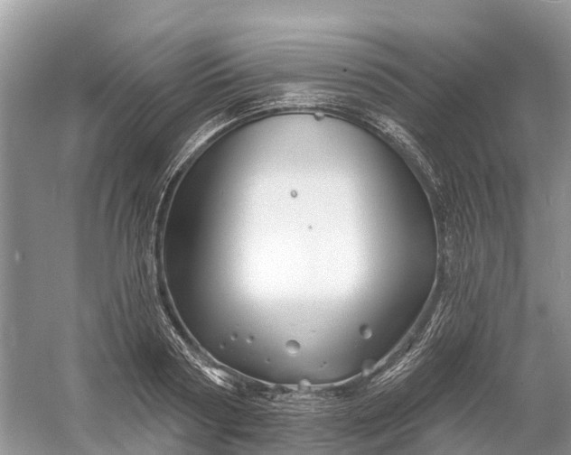 X0000060580794200511171656