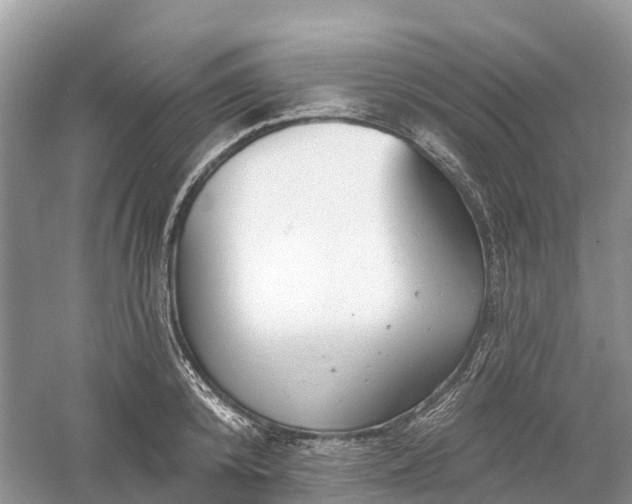 X0000060580800200511171656