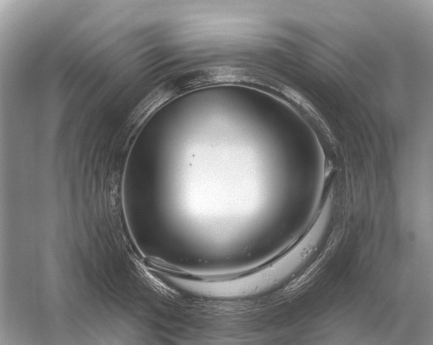 X0000060580801200511171656