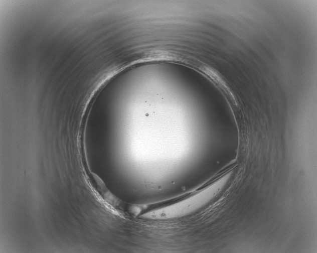 X0000060580805200511171656