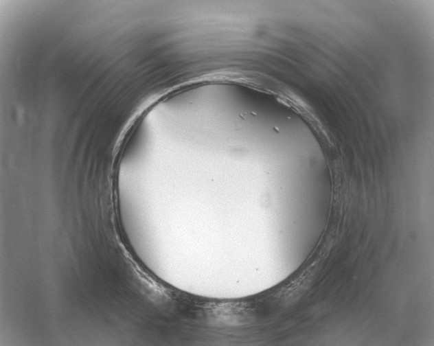 X0000060580808200511171656