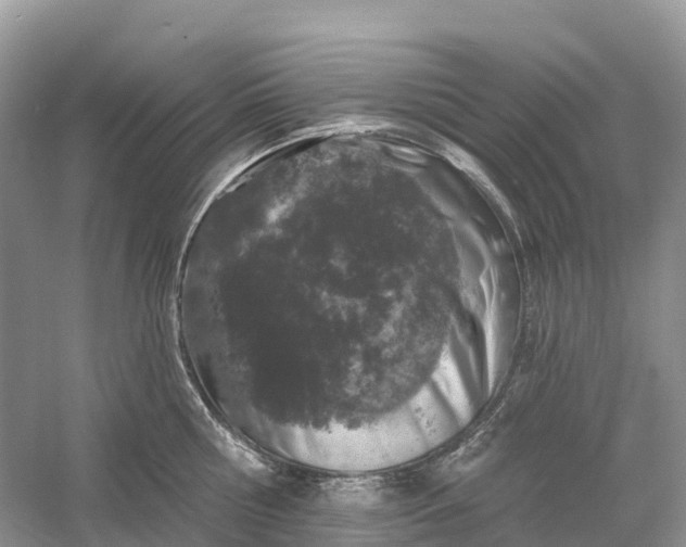 X0000060580810200511171656