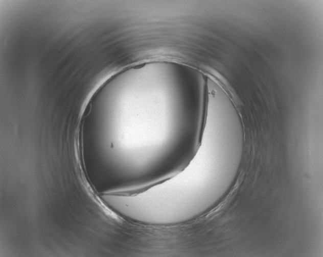 X0000060580812200511171656