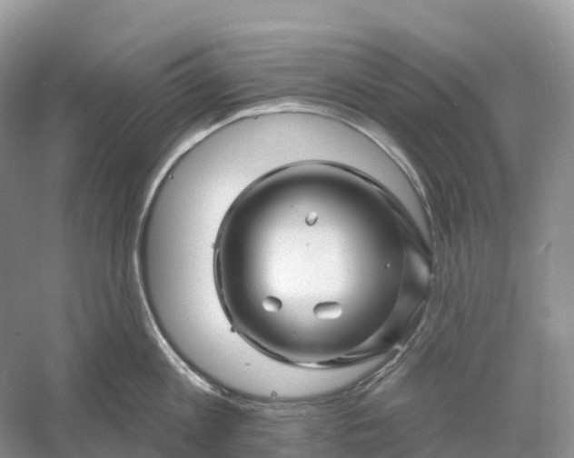 X0000060580813200511171656