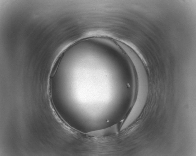 X0000060580815200511171656