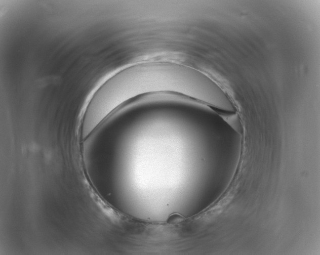 X0000060580816200511171656