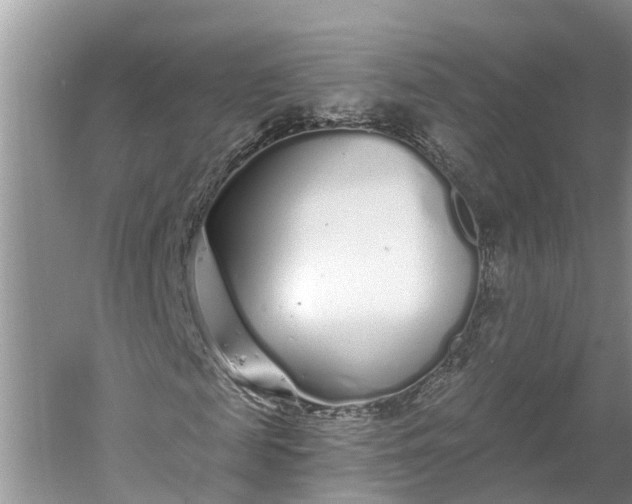 X0000060580817200511171655