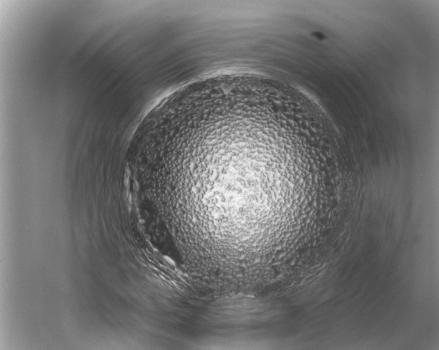 X0000060580823200511171655