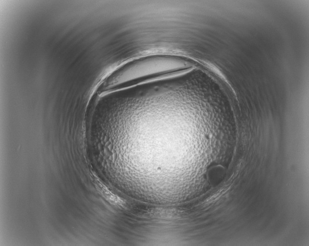 X0000060580831200511171655