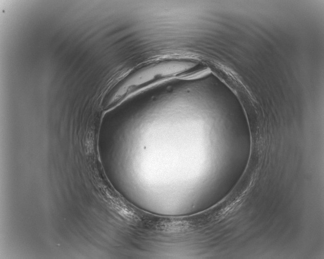 X0000060580833200511171655