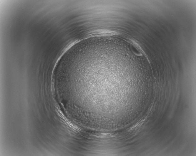 X0000060580835200511171655