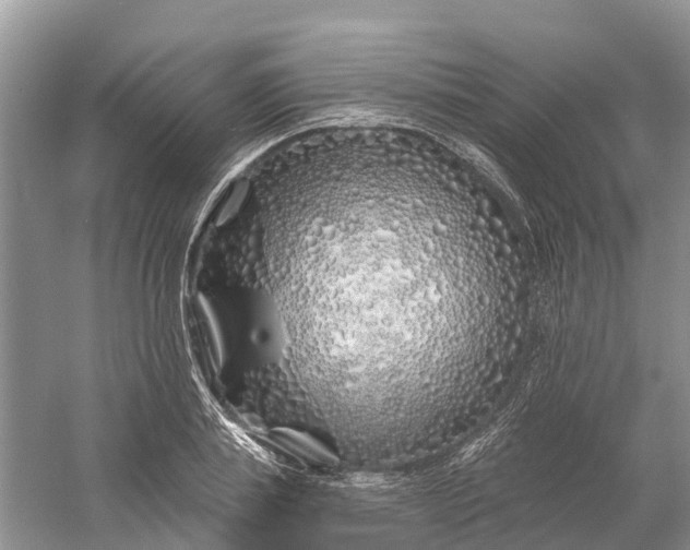 X0000060580839200511171655