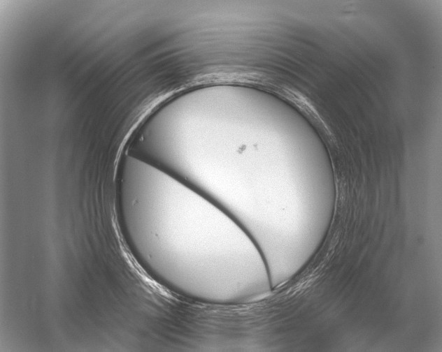 X0000060580844200511171655