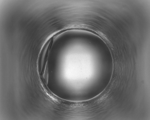 X0000060580846200511171655