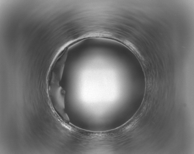 X0000060580854200511171655