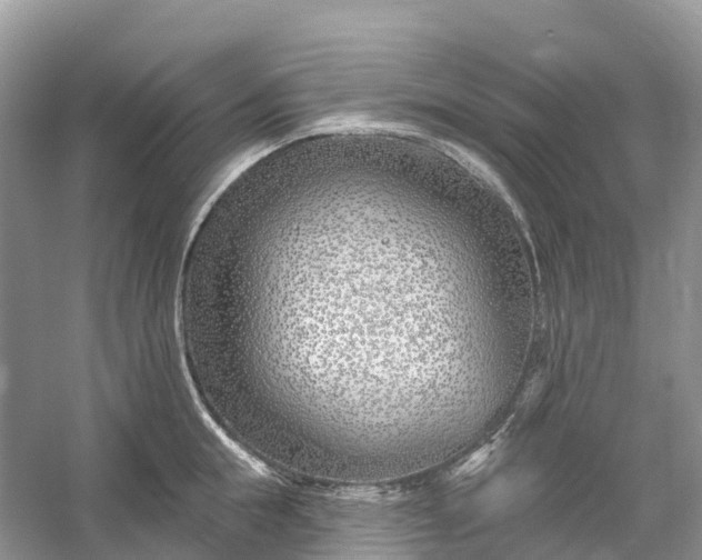 X0000060580855200511171655