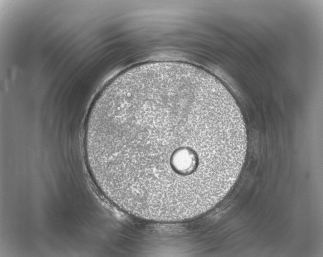 X0000060580856200511171655