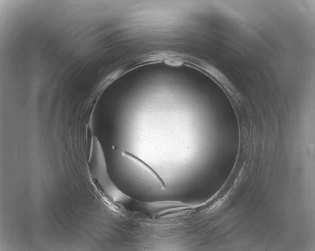 X0000060580857200511171655