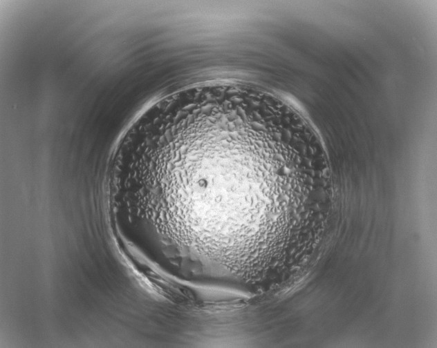 X0000060580859200511171655