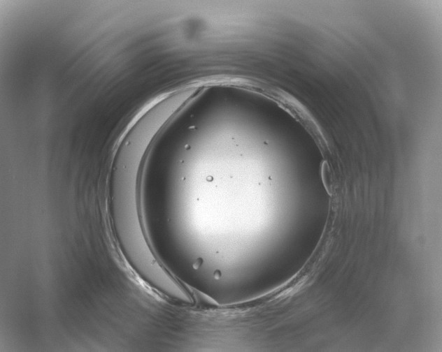 X0000060580860200511171656