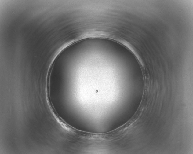 X0000060580861200511171656