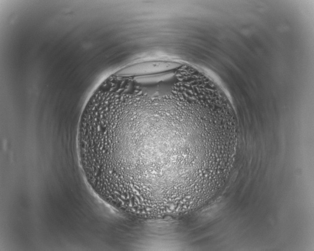 X0000060580863200511171656