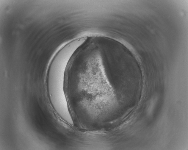 X0000060580864200511171656