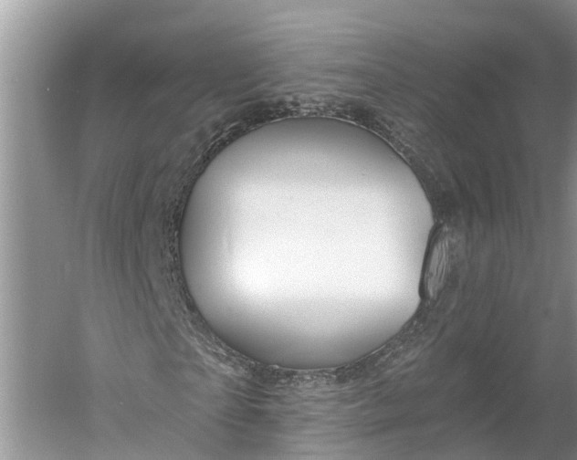 X0000060580865200511171655