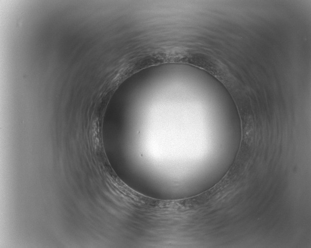 X0000060580866200511171655