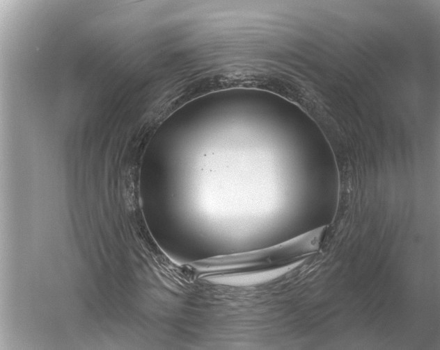 X0000060580868200511171655