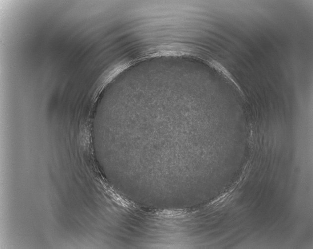 X0000060580874200511171655