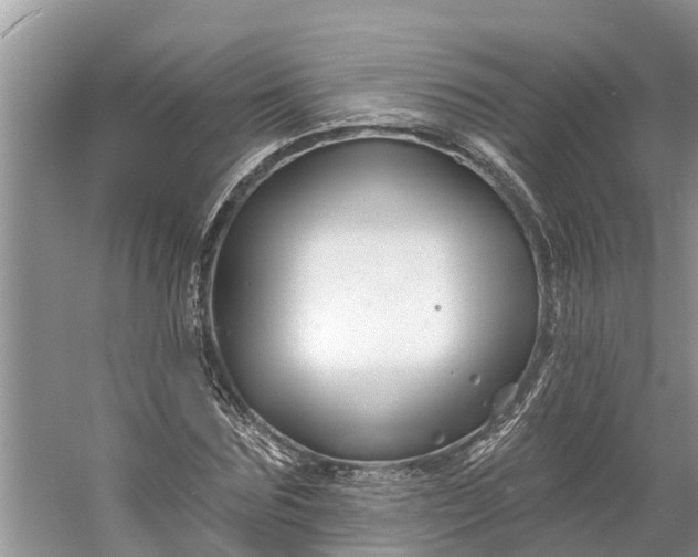 X0000060580875200511171655