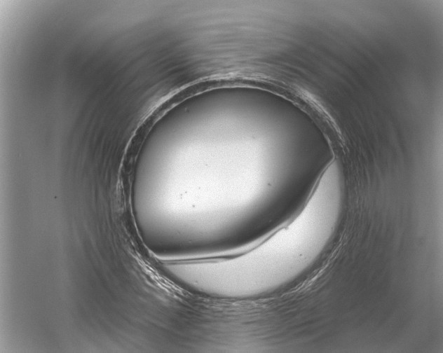 X0000060580876200511171655