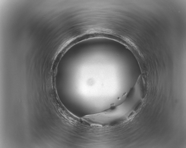 X0000060580877200511171655