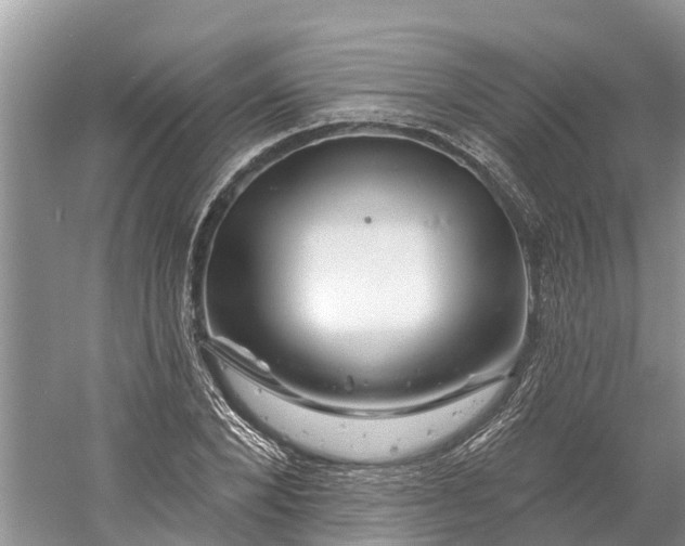 X0000060580880200511171655