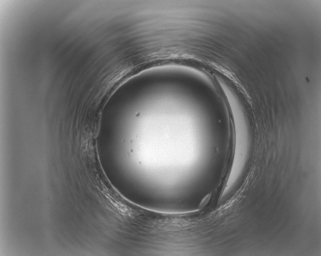 X0000060580881200511171655