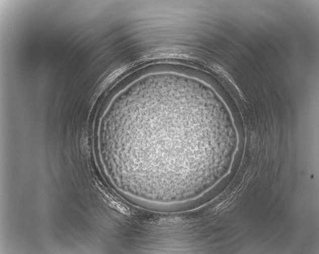 X0000060580882200511171654