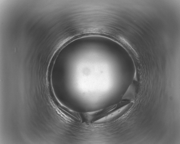 X0000060580884200511171654