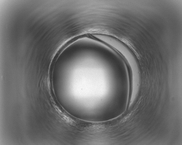 X0000060580888200511171654