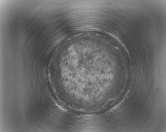 X0000060580889200511171654