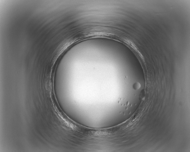 X0000060580890200511171654