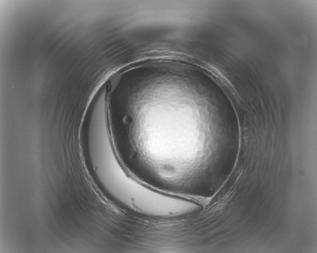 X0000060580891200511171654