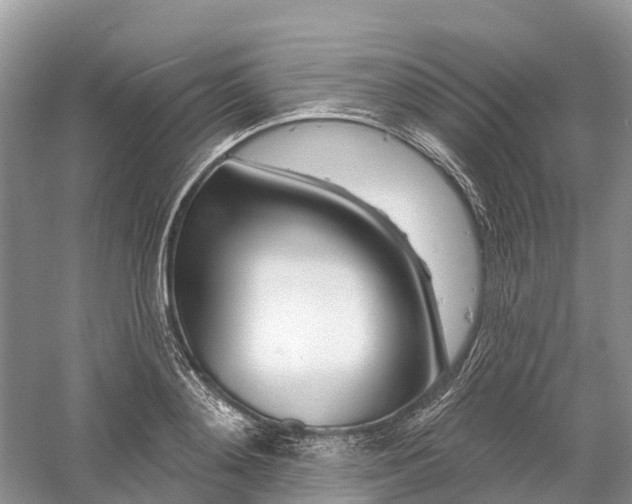 X0000060580892200511171654