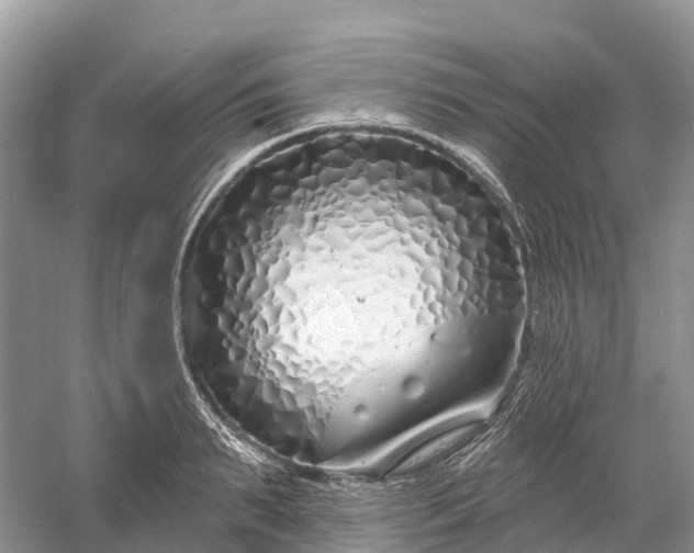 X0000060580895200511171654